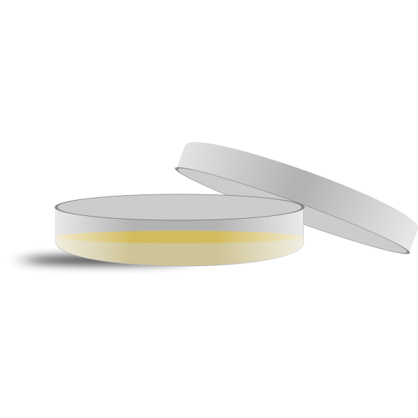 SVG Petri dish vector illustration