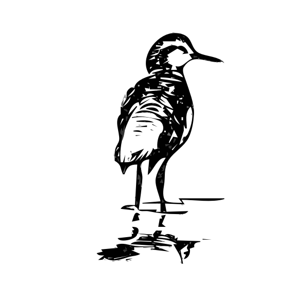 SVG Phalarope vector clip art