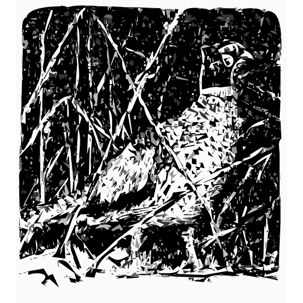 SVG Pheasant vector image