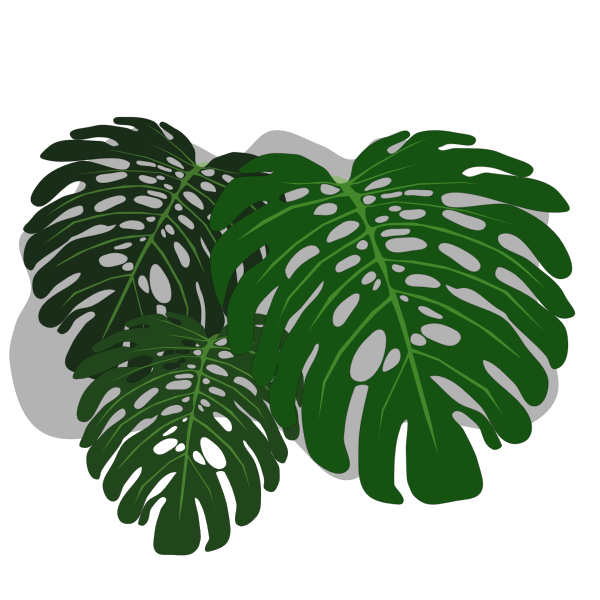 SVG Philadendron