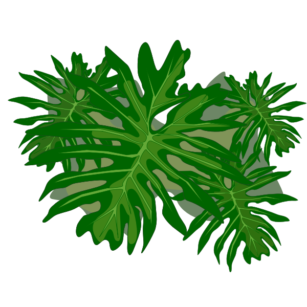 SVG Philodendron plant