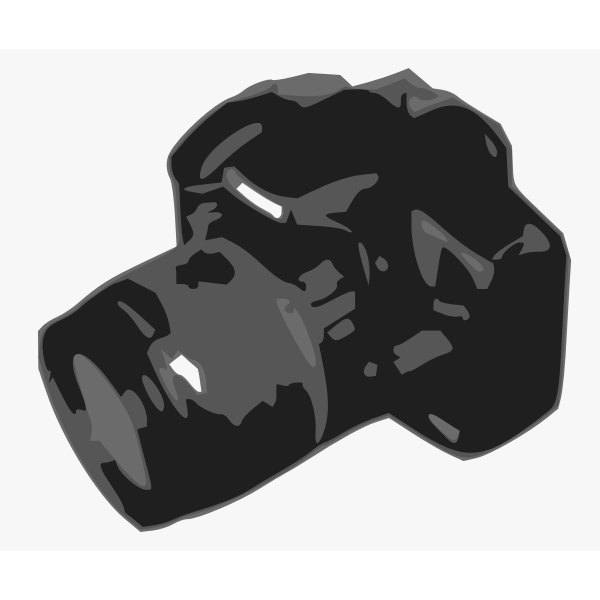 SVG photography quiz award