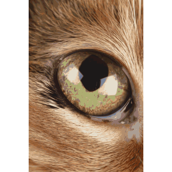 SVG Photorealistic eye vector image