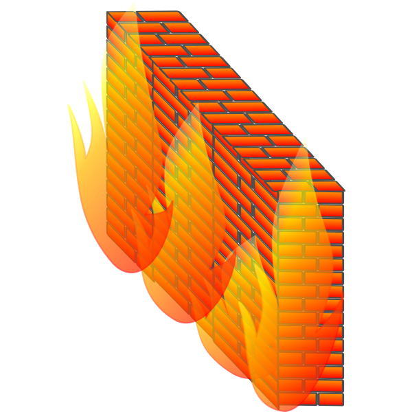 SVG Photorealistic firewall for computer networks vector image