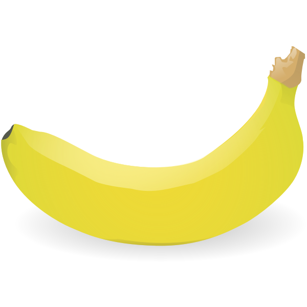 SVG Photorealistic individual banana vector image