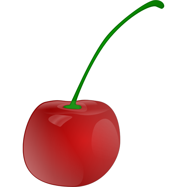 SVG Photorealistic vector graphics of cherry