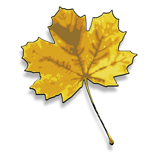 SVG Photorealistic yellow maple leaf vector image