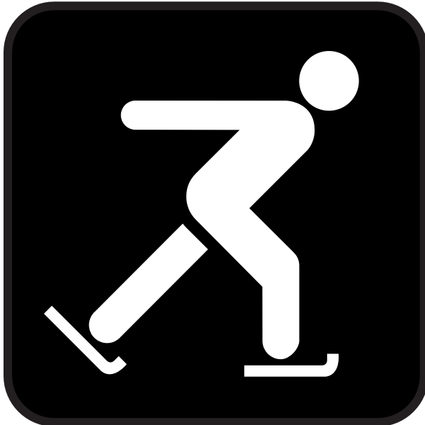 SVG Pictogram for ice skating ground only vector image