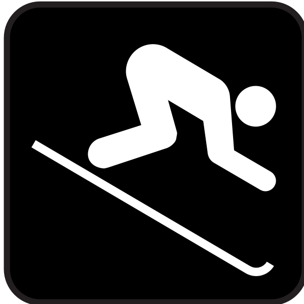 SVG Pictogram for skiing vector image