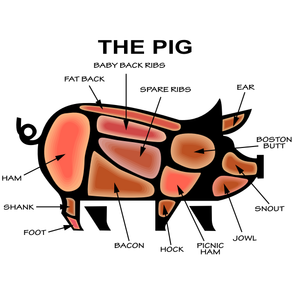 SVG Pig039s parts