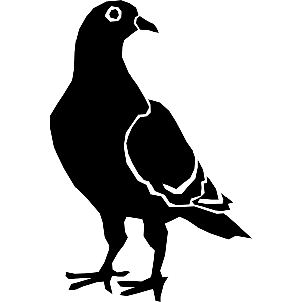 SVG Pigeon
