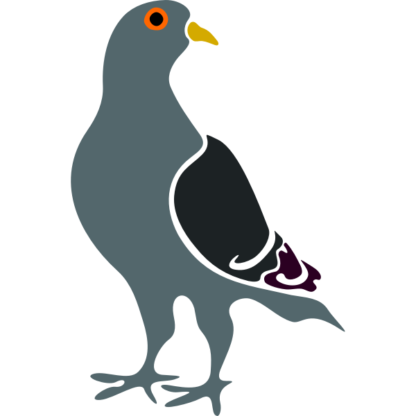 SVG Pigeon