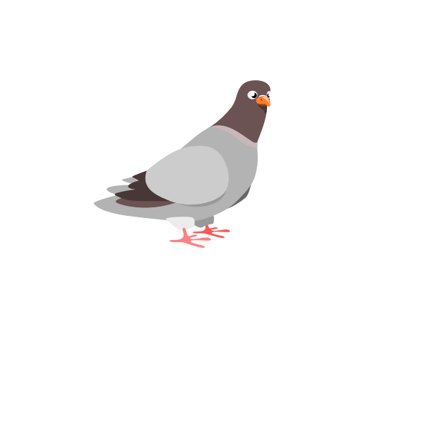 SVG Pigeon