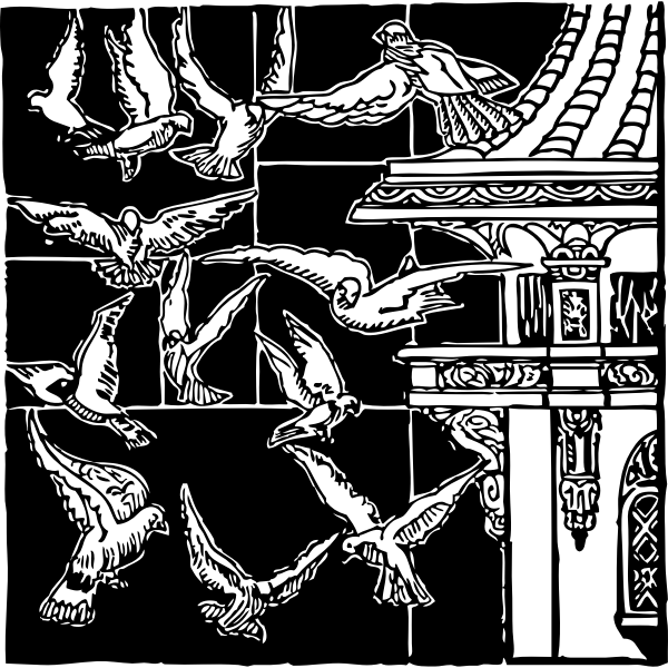 SVG Pigeons in flight illustration