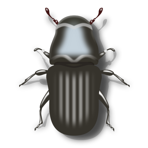 SVG Pine beetle