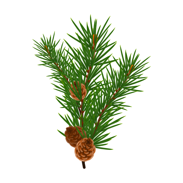 SVG Pine branch