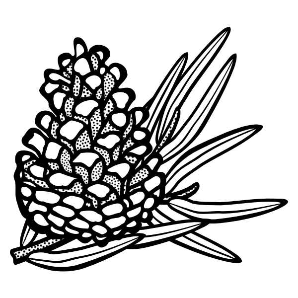 SVG Pine cone