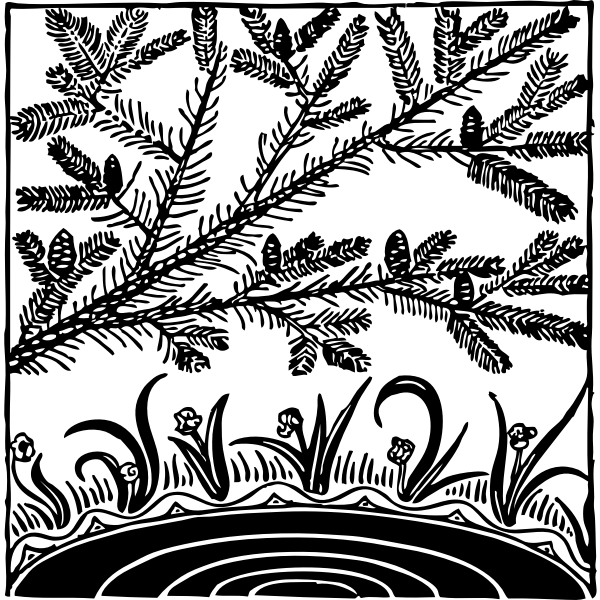 SVG pine over pond
