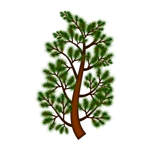 SVG Pine tree branch