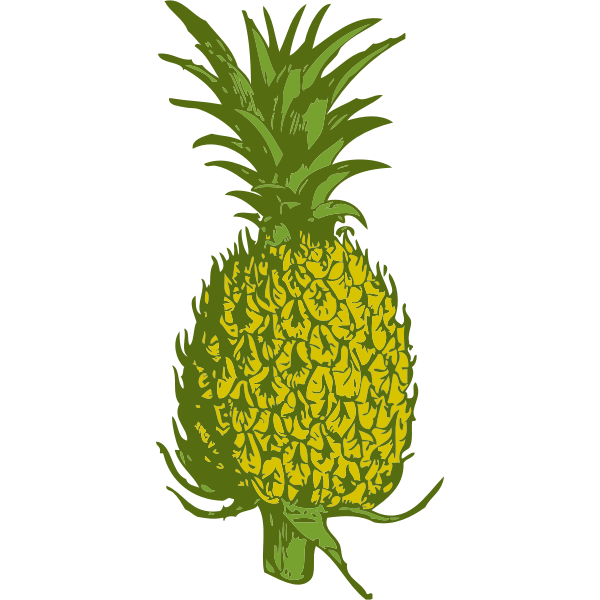 SVG pineapple