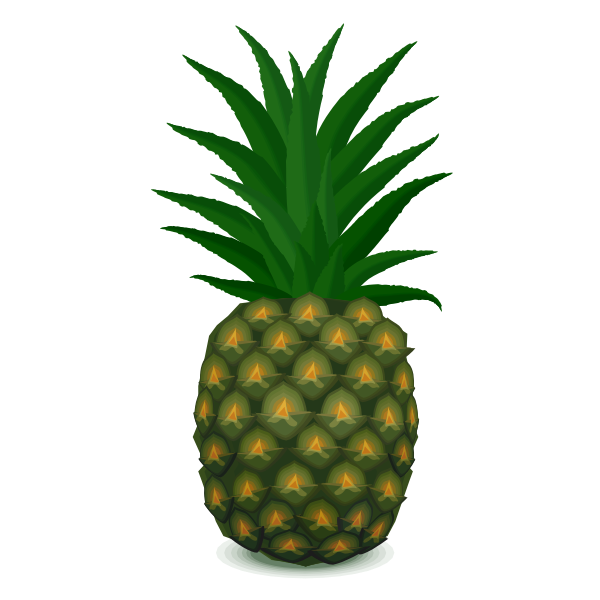 SVG Pineapple drawing