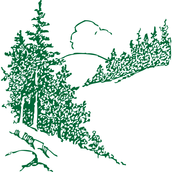 SVG Pines in the mountain vector image