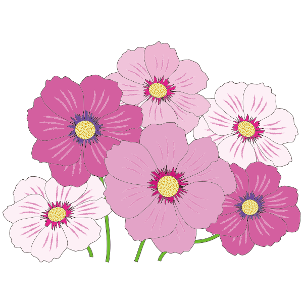 SVG Pink and white flowers