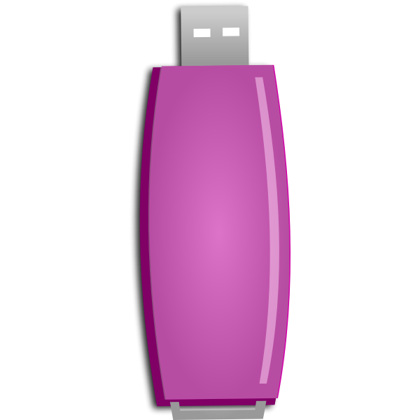 SVG Pink flash drive vector image