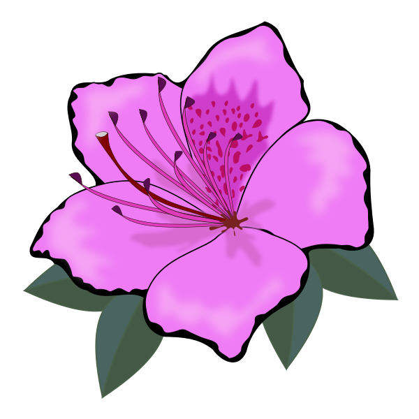 SVG Pink flower clip art graphics