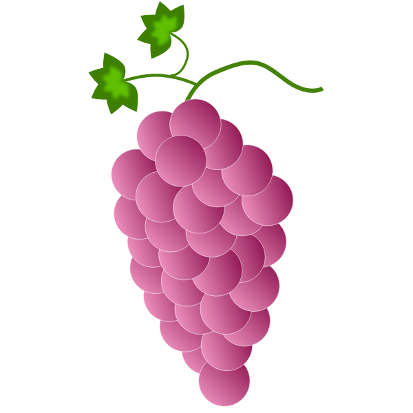 SVG Pink grapes
