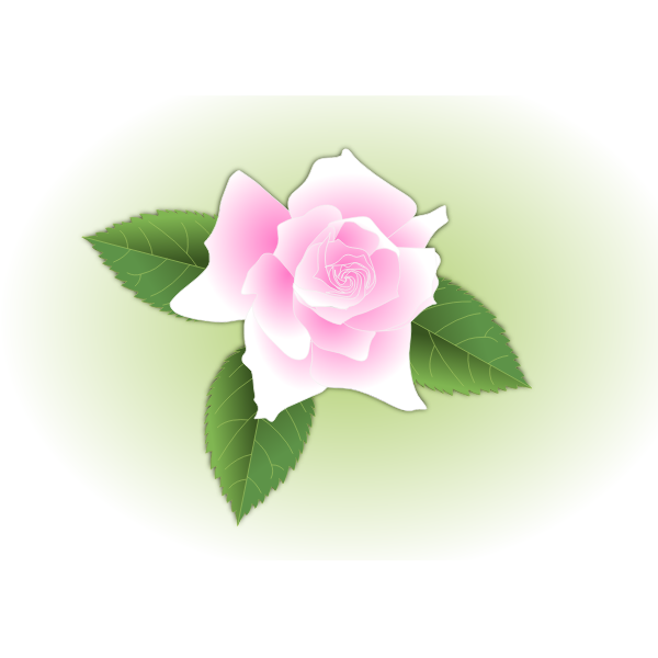 SVG Pink rose