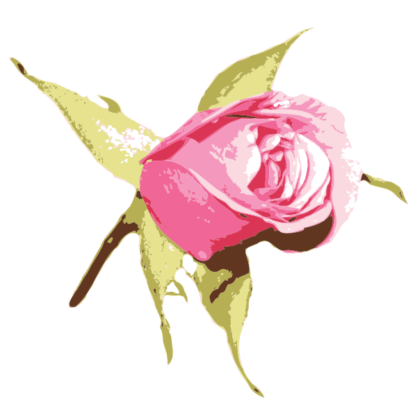 SVG Pink rose-1573200836