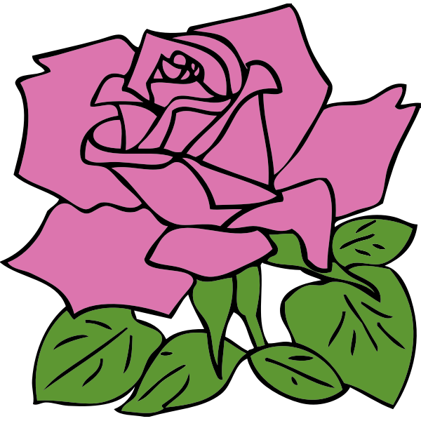 SVG Pink rose vector drawing