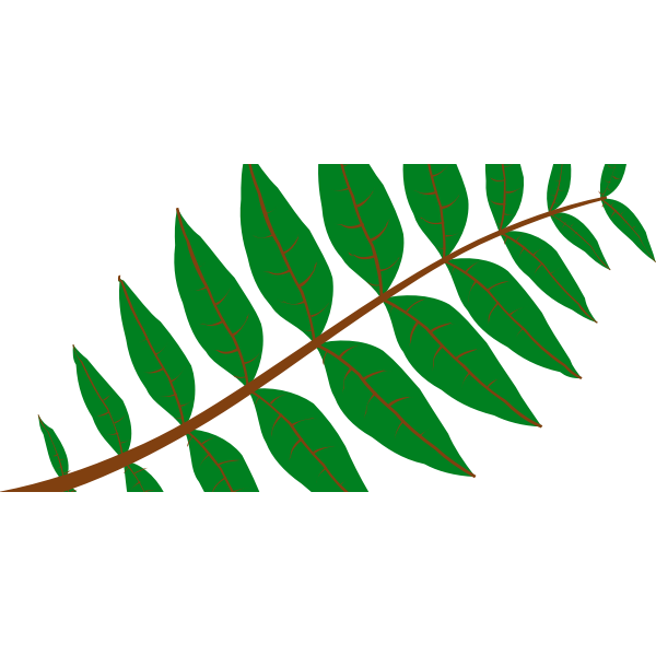 SVG Pinnate Leaf