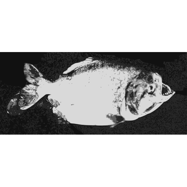 SVG piranha-1576055141