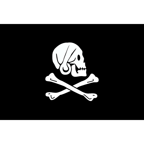 SVG Pirate flag bones and skull vector image