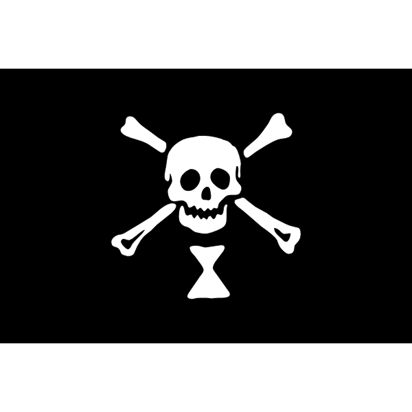 SVG Pirate flag skull and bones vector image