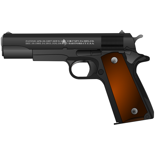 SVG Pistol image