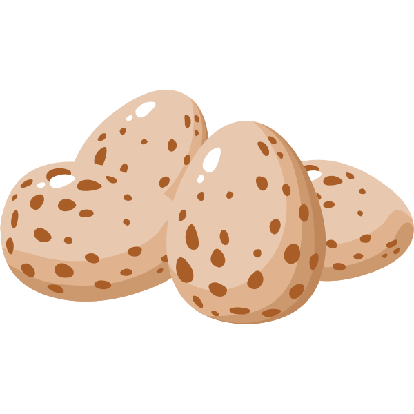 SVG Plain eggs