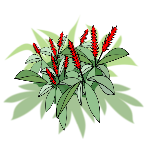 SVG Plant with red flowers
