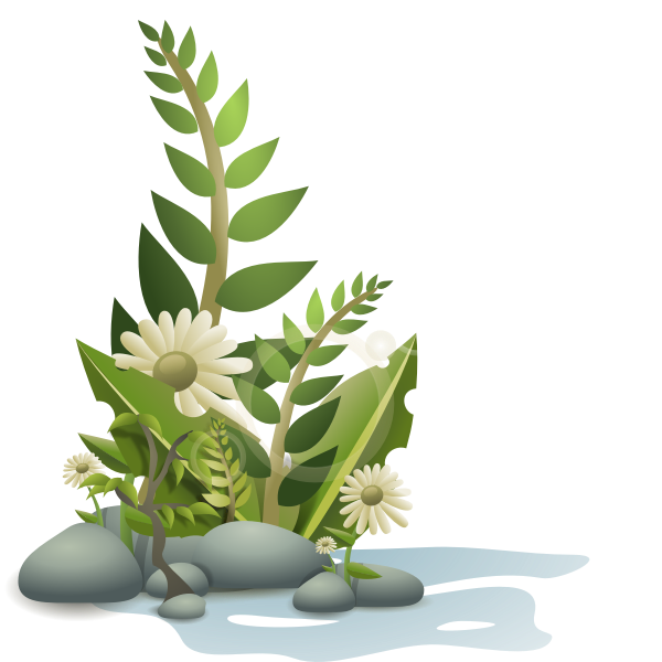 SVG Plants pebbles and flowers vector
