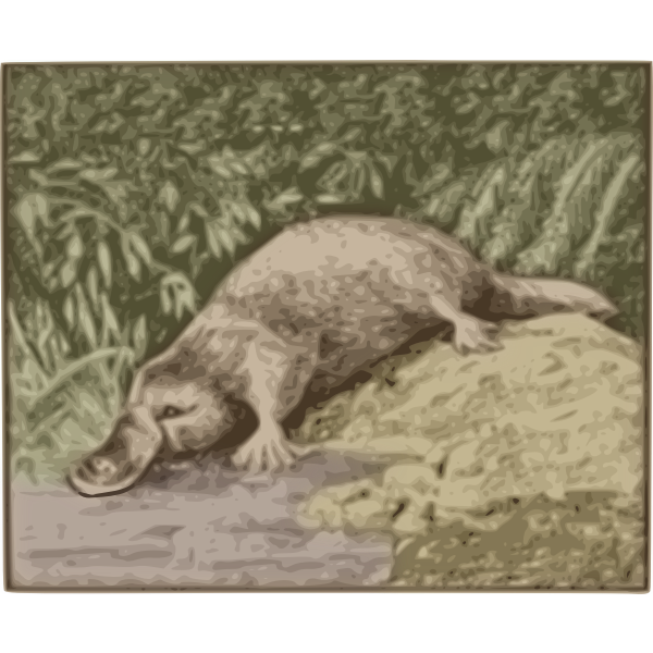 SVG Platypus vector image