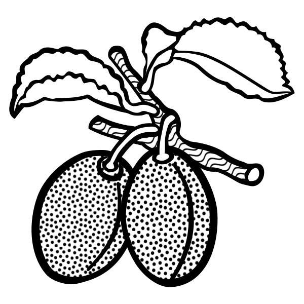 SVG plum - lineart