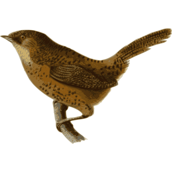 SVG Pnoepyga