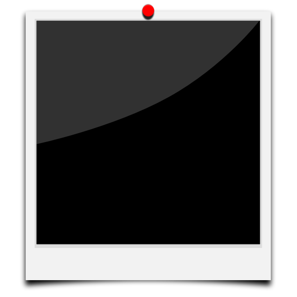 SVG Polaroid