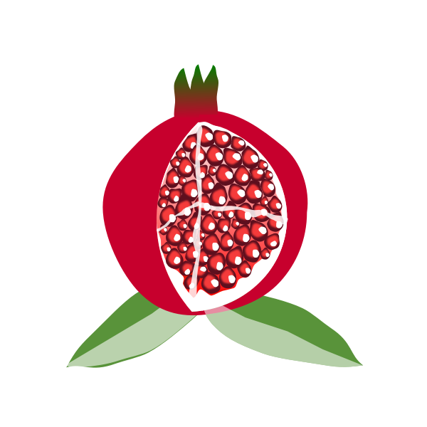 SVG Pomegranate fruit