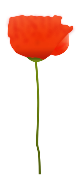 SVG Poppy Flower