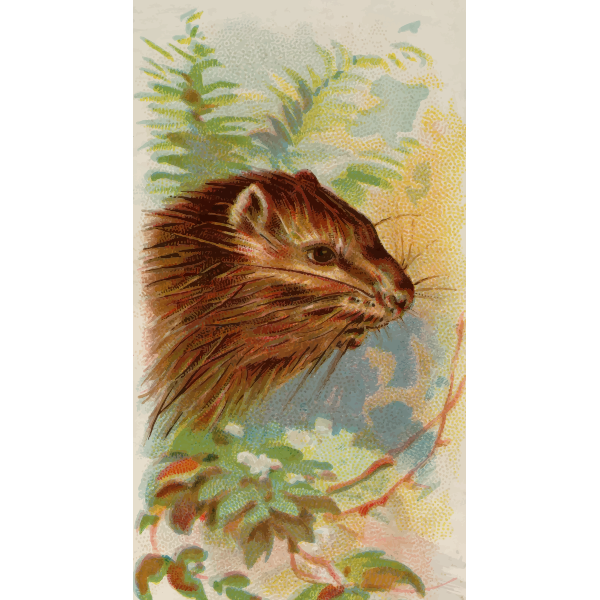 SVG Porcupine image