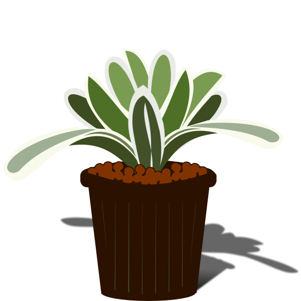 SVG Potted Bromelia