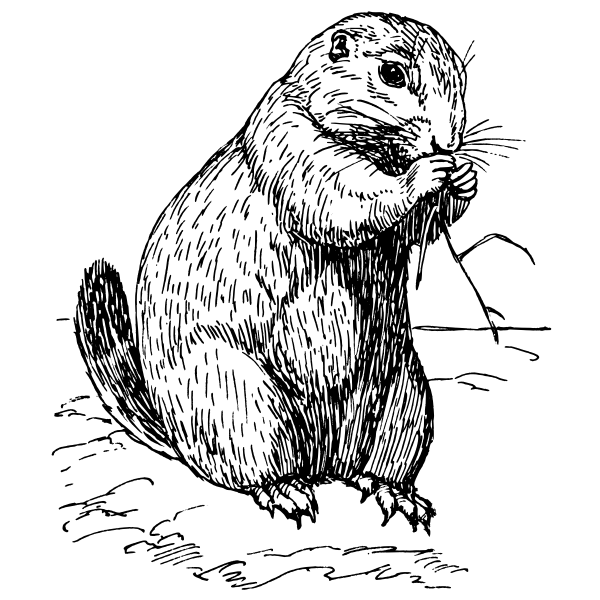 SVG Prairie dog